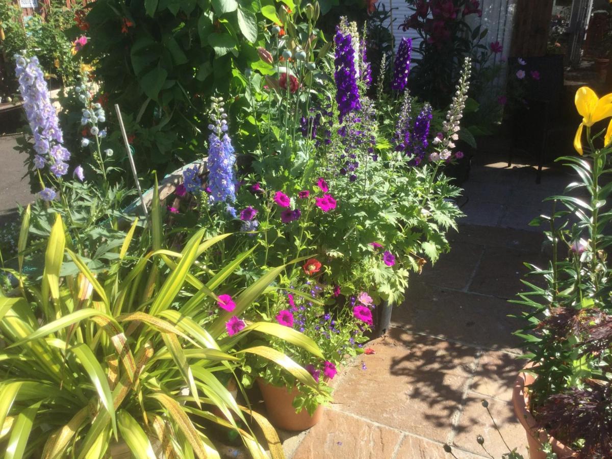 Albertine ,A Warm Welcome Awaits You ,Offering Room Only Or Bed And Breakfast ,Ideal Location For Solent Way ,High Street ,Isle Of Wight ,New Forest Lymington Eksteriør bilde